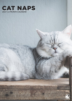 CalendarsRUs Cat Naps A3 Kalendar 2027