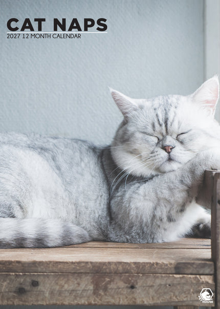 CalendarsRUs Cat Naps A3 Kalendar 2027