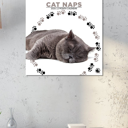 CalendarsRUs Cat Naps Kalendar 2026
