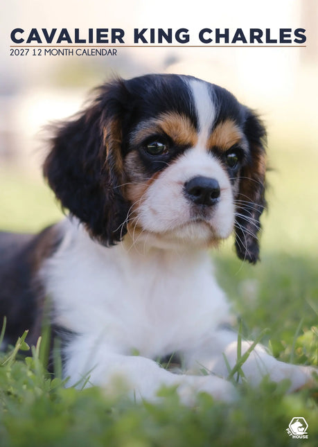 CalendarsRUs Cavalier King Charles Spaniel A3 Kalender 2027