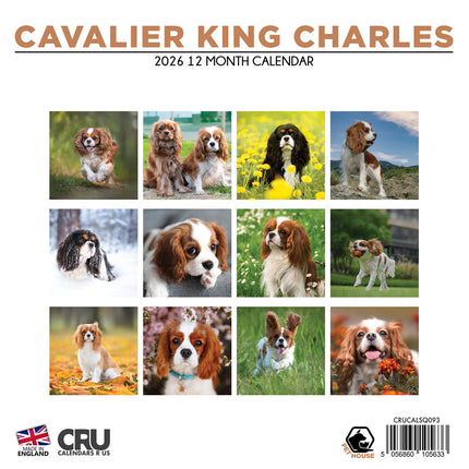 CalendarsRUs Cavalier King Charles Spaniel Kalender 2026