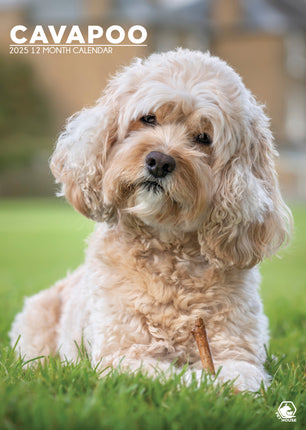 CalendarsRUs Cavapoo A3 Kalender 2025