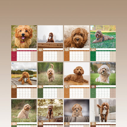 CalendarsRUs Cavapoo A3 Kalender 2025