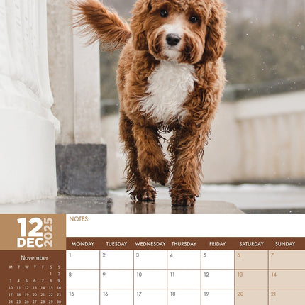 CalendarsRUs Cavapoo A3 Kalender 2025