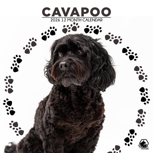 CalendarsRUs Cavapoo Kalender 2026