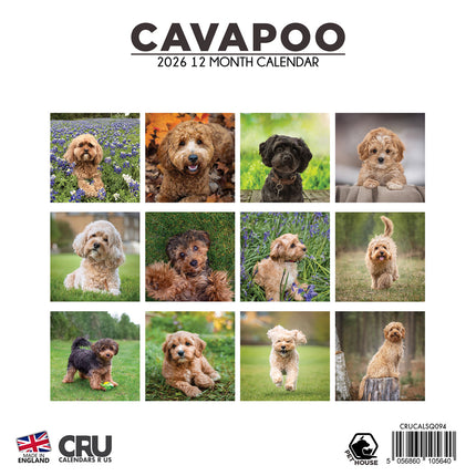 CalendarsRUs Cavapoo Kalender 2026