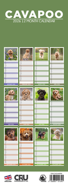 CalendarsRUs Cavapoo Slimline Kalender 2026