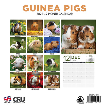 CalendarsRUs Cavia Kalender 2026