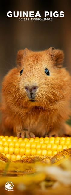 CalendarsRUs Cavia Slimline Kalender 2026