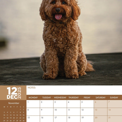 CalendarsRUs Cavoodle A3 Kalender 2025