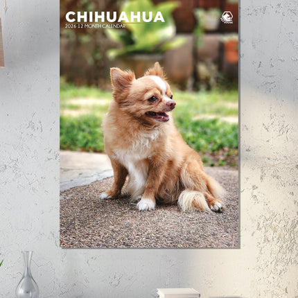 CalendarsRUs Chihuahua A3 Kalender 2027