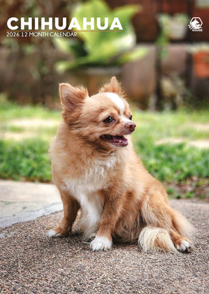 CalendarsRUs Chihuahua A3 Kalender 2027