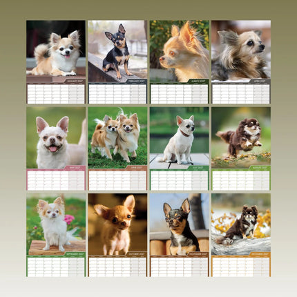 CalendarsRUs Chihuahua A3 Kalender 2027