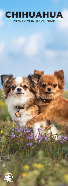 CalendarsRUs Chihuahua Slimline Kalender 2026