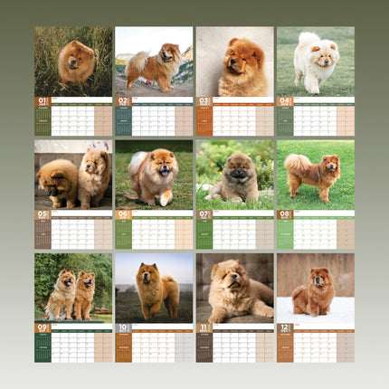 CalendarsRUs Chow Chow A3 Kalender 2026