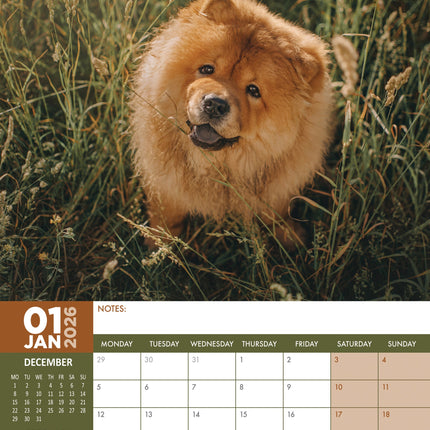 CalendarsRUs Chow Chow A3 Kalender 2026