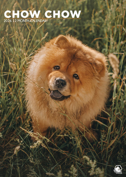CalendarsRUs Chow Chow A3 Kalender 2026