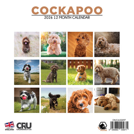 CalendarsRUs Cockapoo Kalender 2026
