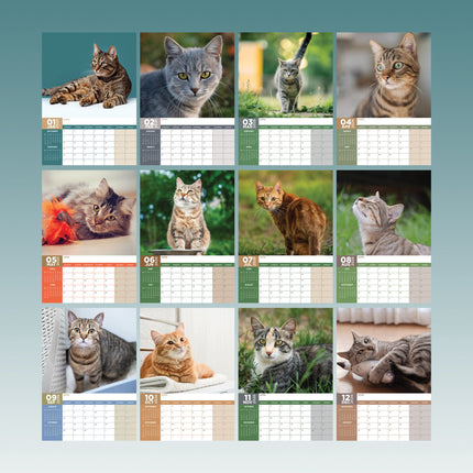 CalendarsRUs Cyperse A3 Katten Kalender 2026