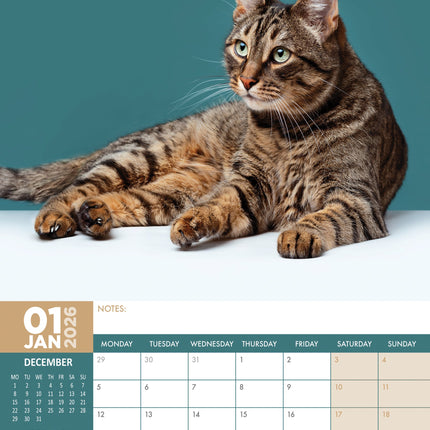 CalendarsRUs Cyperse A3 Katten Kalender 2026