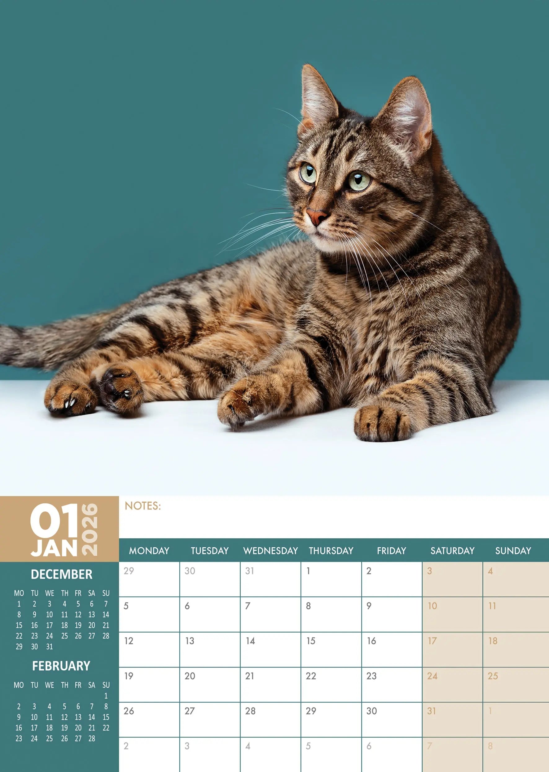 De literaire kattenkalender 2026 | Standaard Boekhandel De literaire kattenkalender 2026 | Standaard Boekhandel