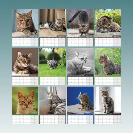 CalendarsRUs Cyperse A3 Katten Kalender 2027