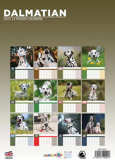 CalendarsRUs Dalmatier A3 Kalender 2025