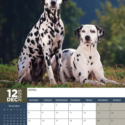 CalendarsRUs Dalmatier A3 Kalender 2025