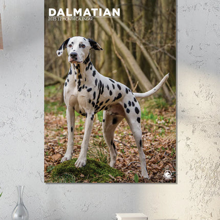 CalendarsRUs Dalmatier A3 Kalender 2025