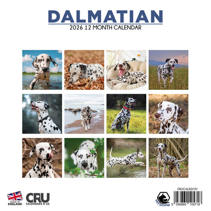 CalendarsRUs Dalmatier Kalender 2026