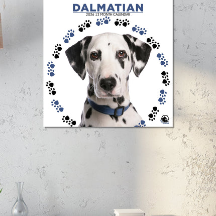 CalendarsRUs Dalmatier Kalender 2026