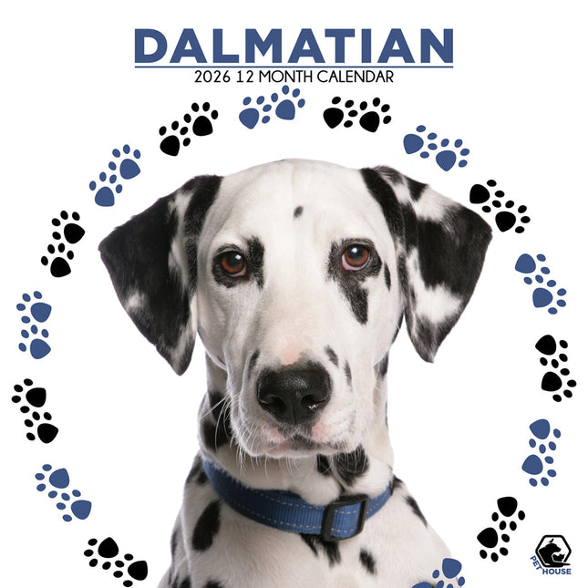 CalendarsRUs Dalmatier Kalender 2026