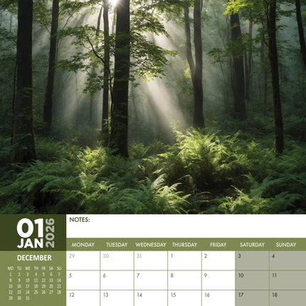 CalendarsRUs Deep Forest A3 Kalender 2026