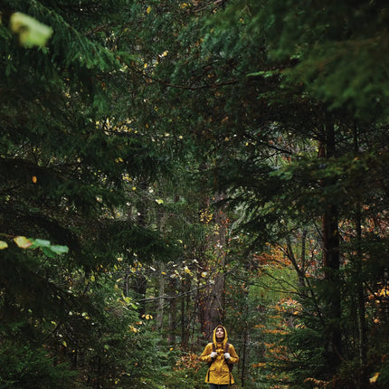 CalendarsRUs Deep Forest A3 Kalender 2027