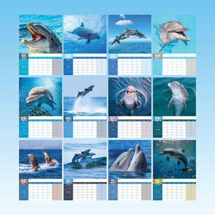 CalendarsRUs Dolfijnen A3 Kalender 2026