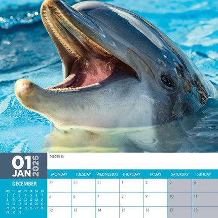 CalendarsRUs Dolfijnen A3 Kalender 2026