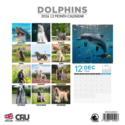 CalendarsRUs Dolfijnen Kalender 2026