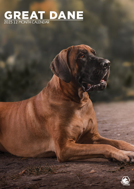 CalendarsRUs Duitse Dog A3 Kalender 2025