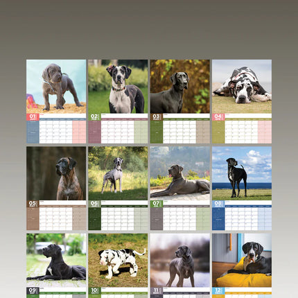 CalendarsRUs Duitse Dog A3 Kalender 2025