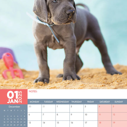 CalendarsRUs Duitse Dog A3 Kalender 2025