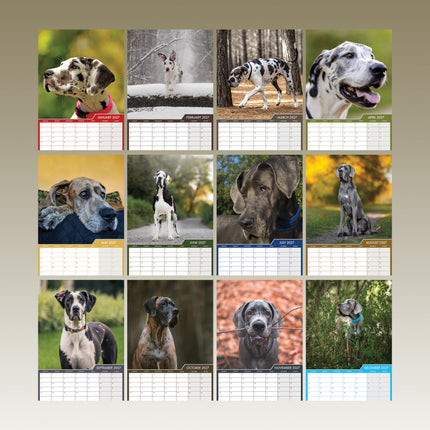 CalendarsRUs Duitse Dog A3 Kalender 2027