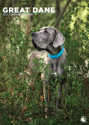 CalendarsRUs Duitse Dog A3 Kalender 2027