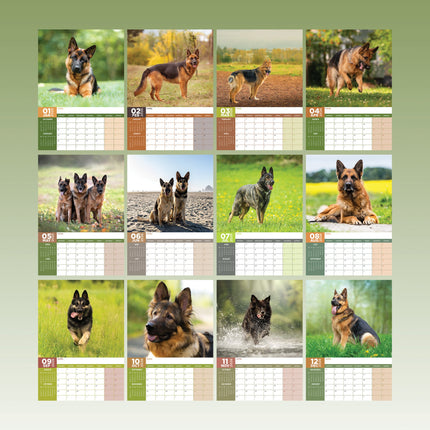 CalendarsRUs Duitse Herder A3 Kalender 2026
