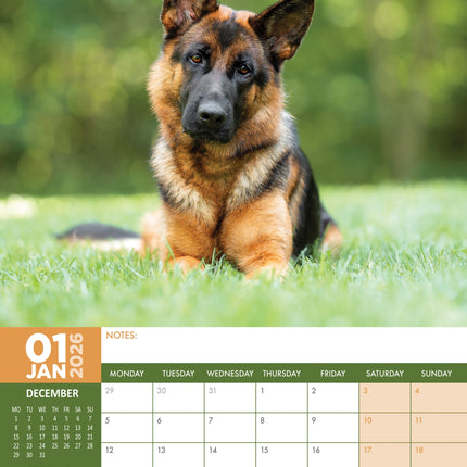 CalendarsRUs Duitse Herder A3 Kalender 2026