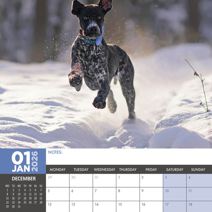 CalendarsRUs Duitse Staande A3 Kalender 2026