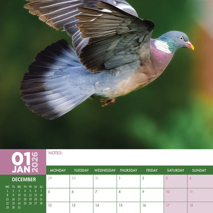 CalendarsRUs Duiven A3 Kalender 2026