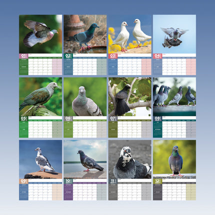 CalendarsRUs Duiven A3 Kalender 2027