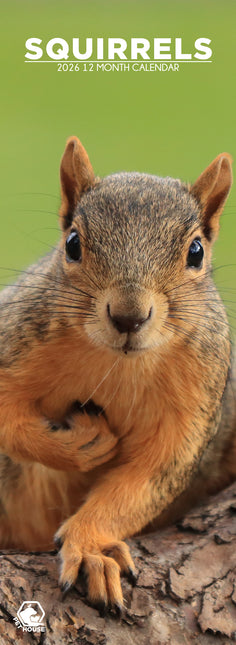 CalendarsRUs Eekhoorn Slimline Kalender 2026