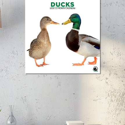 CalendarsRUs Eenden Kalender 2026