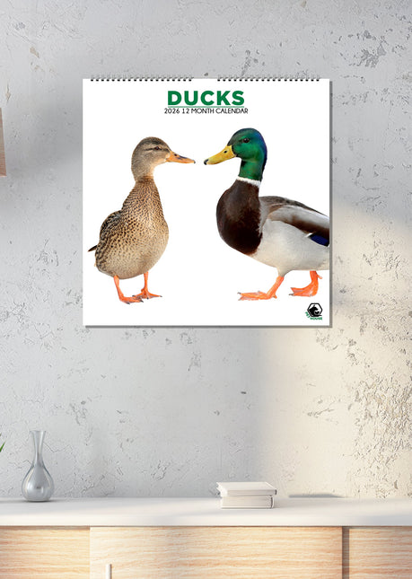 CalendarsRUs Eenden Kalender 2026